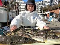 ふぐ釣り絶好調です！！