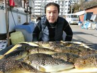 ふぐ釣り絶好調です！！