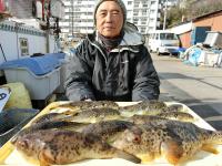 ふぐ釣り好調です！！