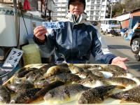 ふぐ釣り絶好調です！！