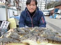 ふぐ釣り絶好調です！！