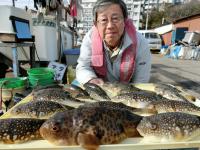 ふぐ釣り絶好調です！！