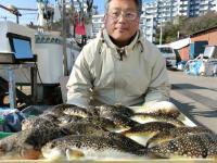 ふぐ釣り絶好調です！！