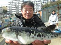 トラフグ釣り