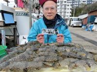 ふぐ釣り絶好調です！！