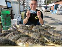 ふぐ釣り絶好調です！！
