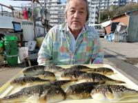 ふぐ釣り好調です！！