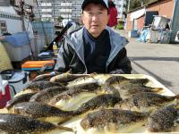 ふぐ釣り絶好調です！！