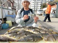 ふぐ釣り絶好調です！！