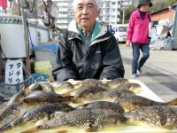 ふぐ釣り好調です！！