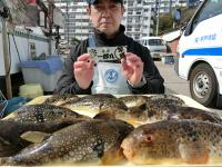 ふぐ釣り好調です！！