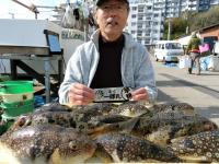 ふぐ釣り絶好調です！！