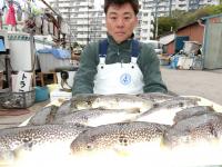 ふぐ釣り
