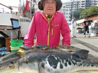 ふぐ釣り