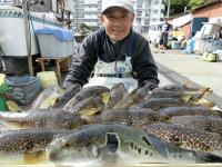 ふぐ釣り好調です！！