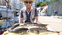 ふぐ釣り