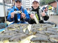ふぐ釣り好調です！！