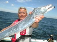 本日の釣果