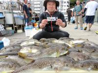 ふぐ釣り絶好調です！！