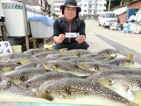 ふぐ釣り絶好調です！！
