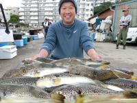 ふぐ釣り絶好調です！！