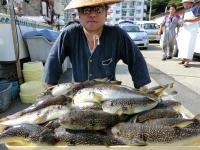 ふぐ釣り絶好調です！！
