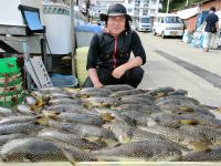 ふぐ釣り絶好調です！！