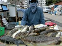 ふぐ釣り