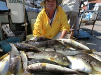 ふぐ釣り絶好調です！！