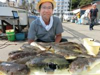 ふぐ釣り