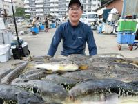 ふぐ釣り絶好調です！！