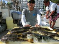 ふぐ釣り