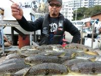 ふぐ釣り絶好調です！！