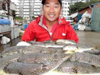 ふぐ釣り絶好調です！！