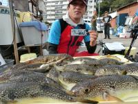 ふぐ釣り絶好調です！！