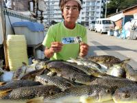 ふぐ釣り絶好調です！！