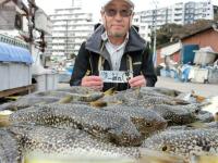 ふぐ釣り絶好調です！！