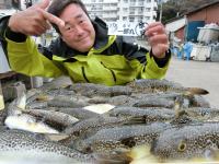 ふぐ釣り絶好調です！！