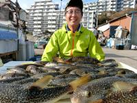 ふぐ釣り絶好調です！！