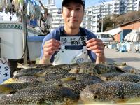 ふぐ釣り絶好調です！！