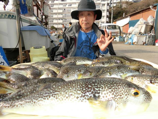 ふぐ釣り絶好調です！！1枚目