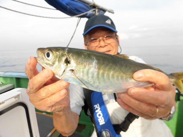 タチウオ・アジリレー4枚目