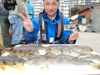 ふぐ釣り絶好調です！！