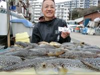 ふぐ釣り絶好調です！！