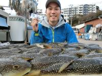 ふぐ釣り絶好調です！！