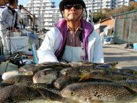 ふぐ釣り絶好調です！！