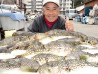 ふぐ釣り絶好調です！！