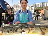 ふぐ釣り好調です！！