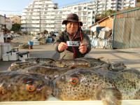 ふぐ釣り絶好調です！！