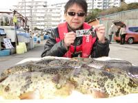 ふぐ釣り好調です！！
